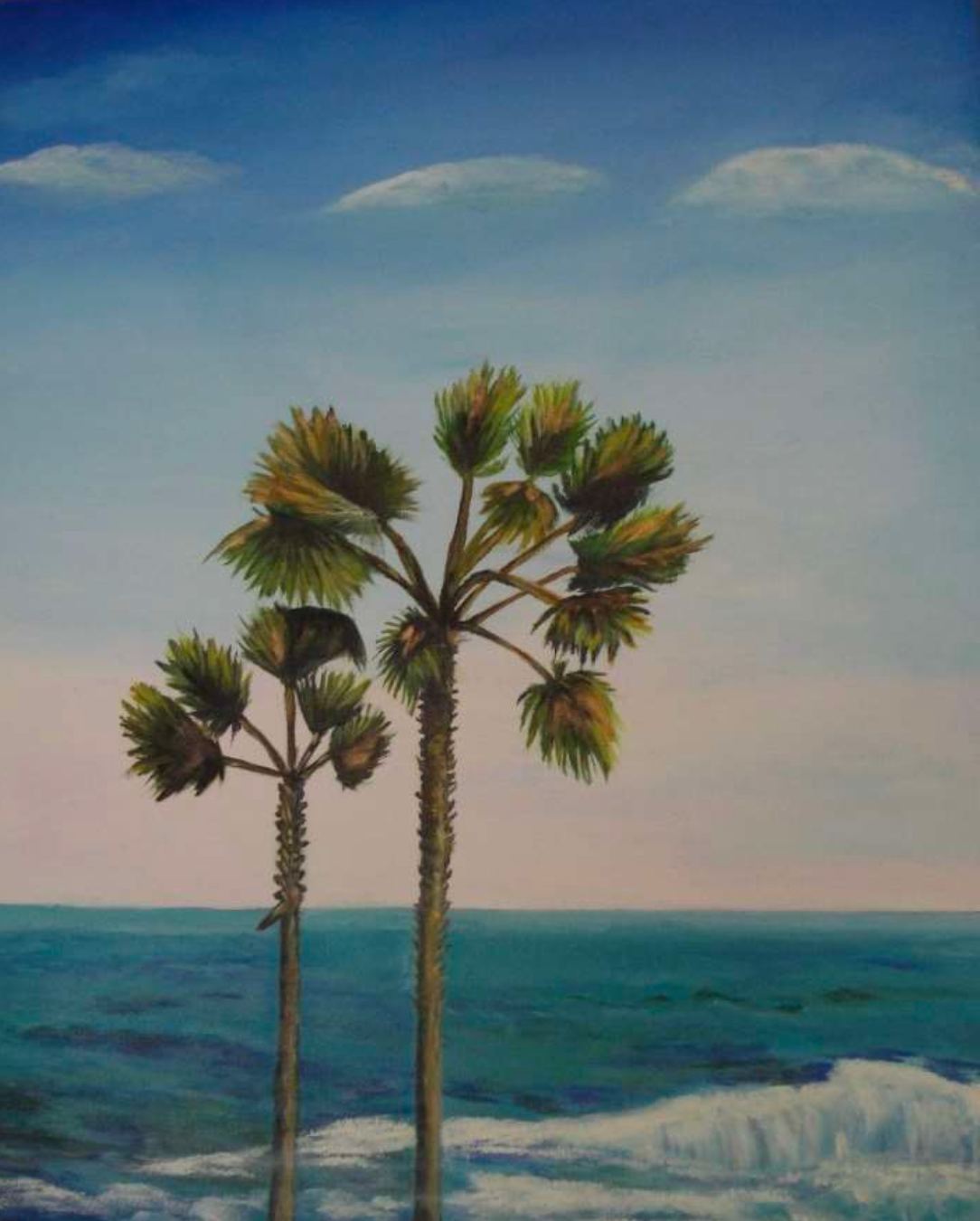 California Palms